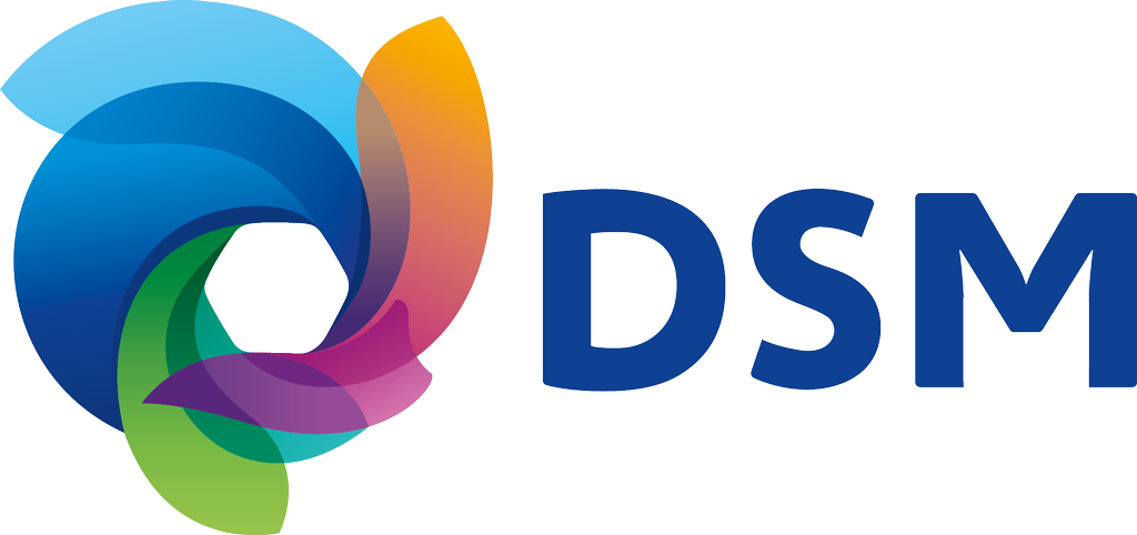 dsm-logo